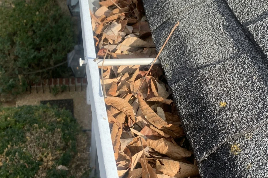 Gutter Cleaning Palm Beach FL