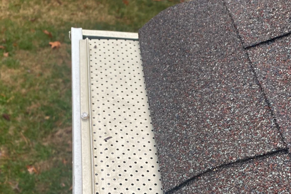 Gutter Cleaning Palm Beach FL